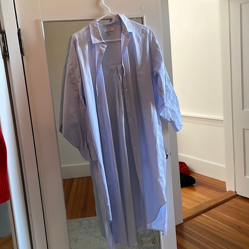 AYR Oxford Shirtdress
